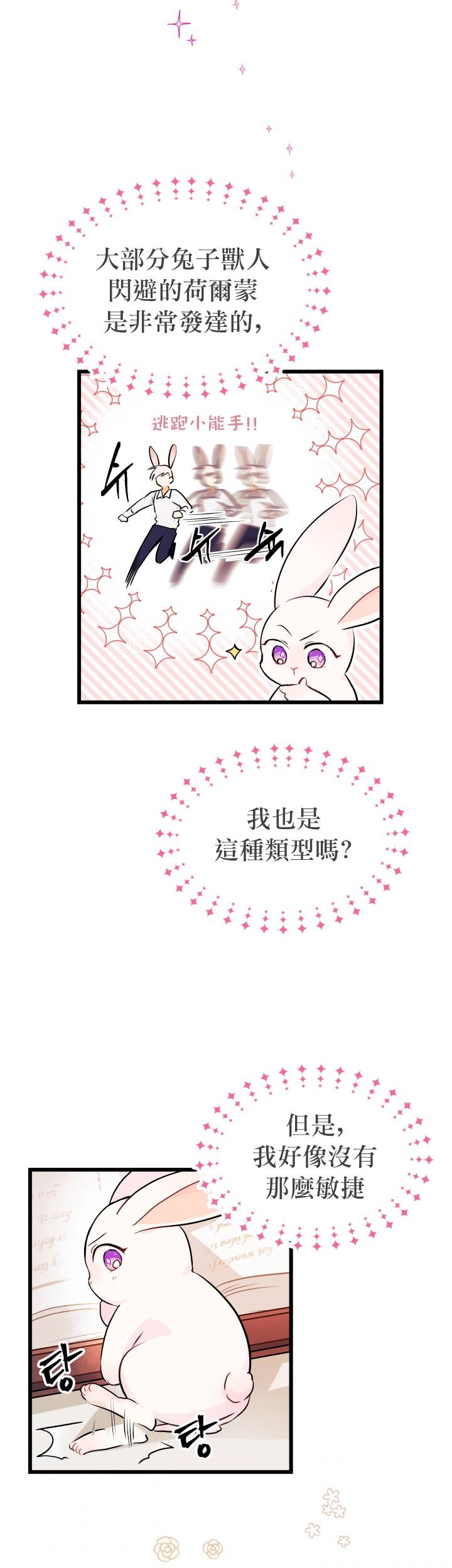 兔子与黑豹的共生关系漫画,第8话1图