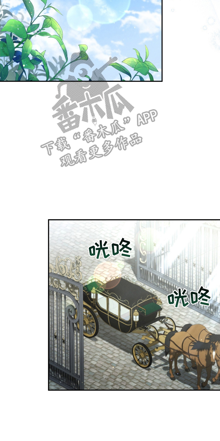 迷你猫的真相韩漫漫画,第9话3图