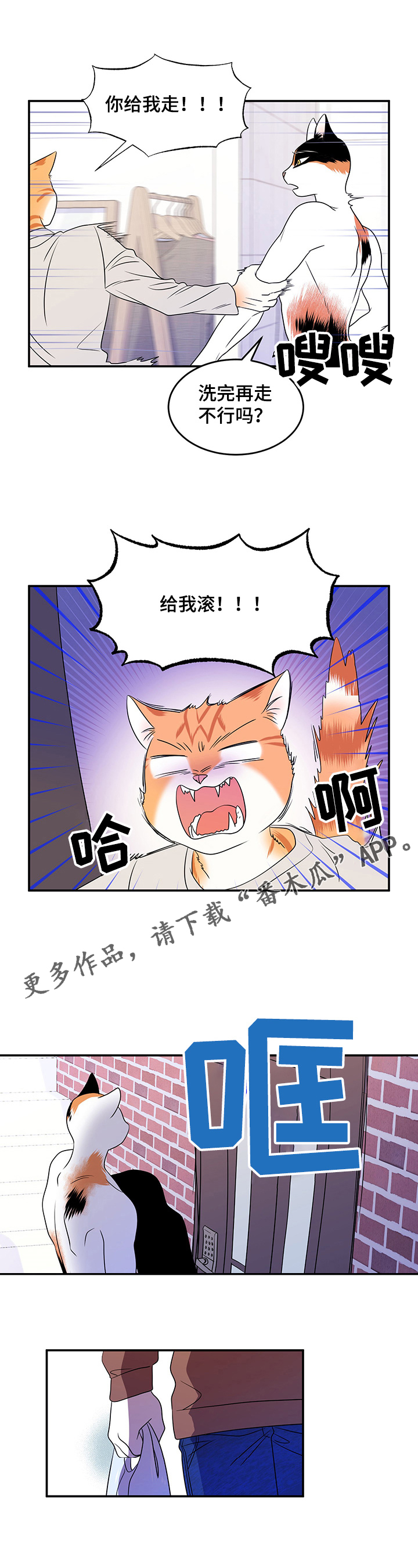 灵猫欧米伽漫画,第5章：给我滚3图