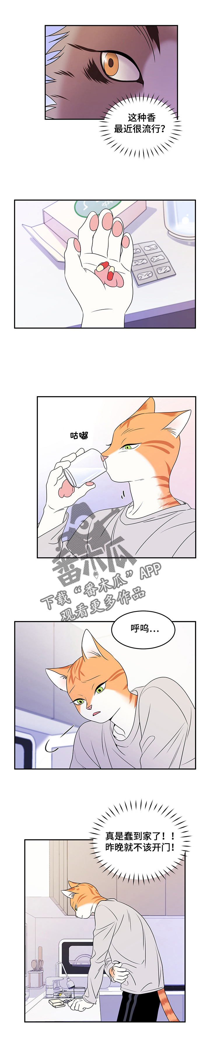 灵猫欧米伽什么时候更新漫画,第5章：给我滚5图