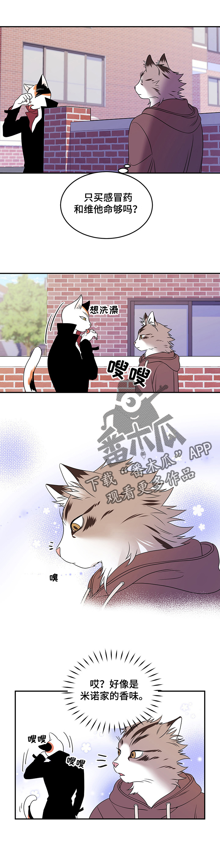 灵猫欧米伽还叫什么漫画,第5章：给我滚4图