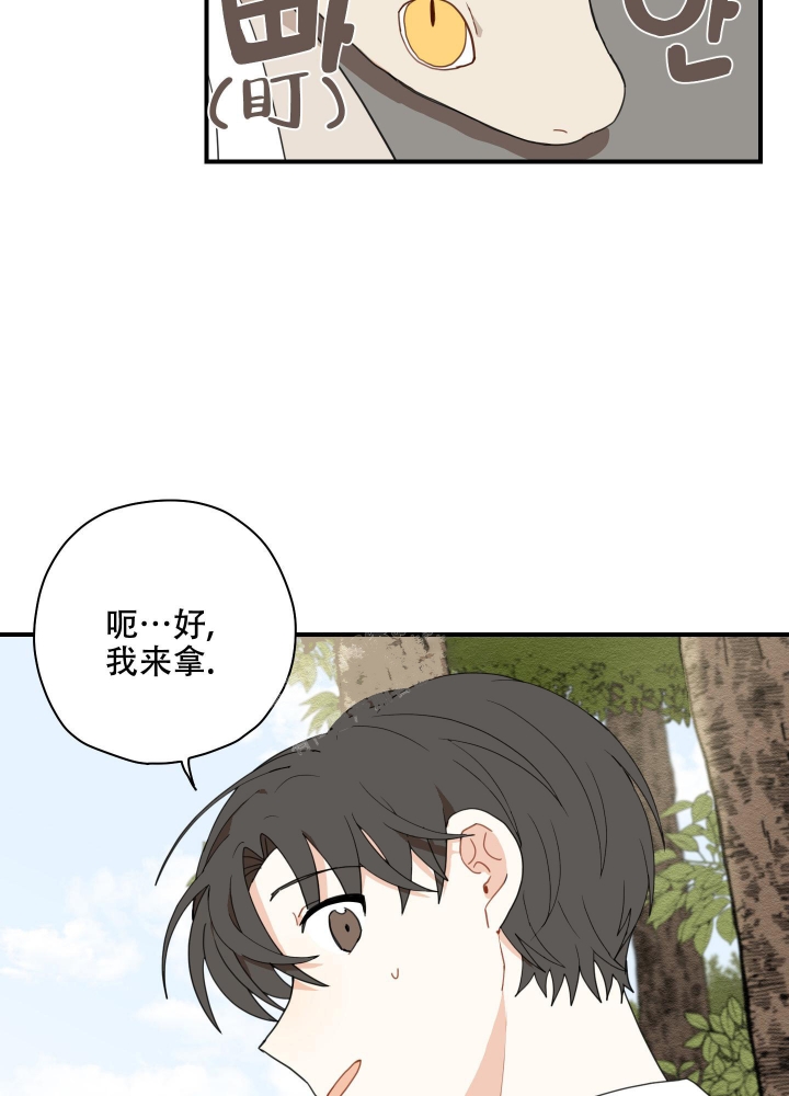 铺满金钟花的路去哪看漫画,第10话4图