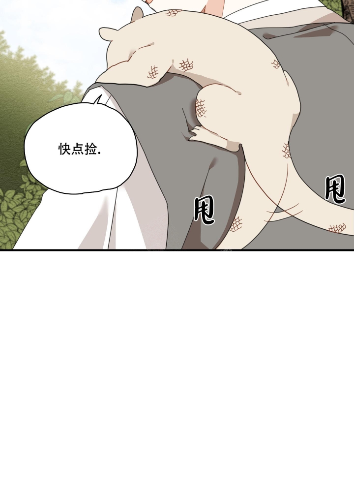 铺满金钟花的路去哪看漫画,第10话5图