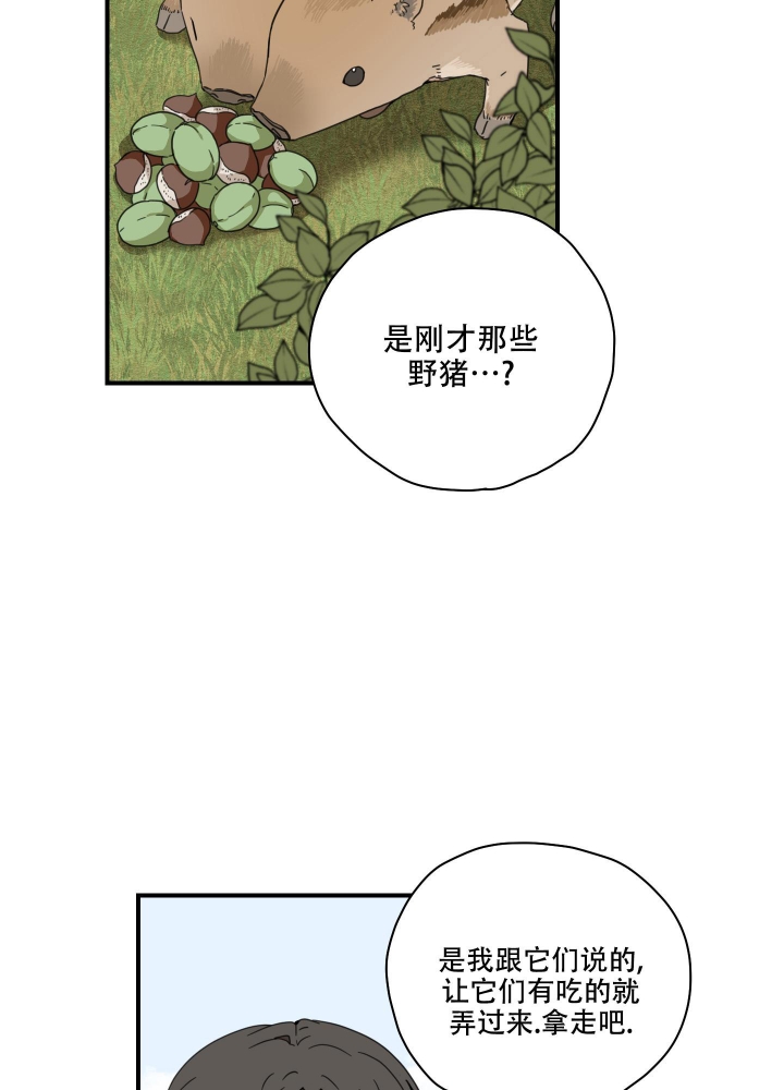 铺满金钟花的路去哪看漫画,第10话2图