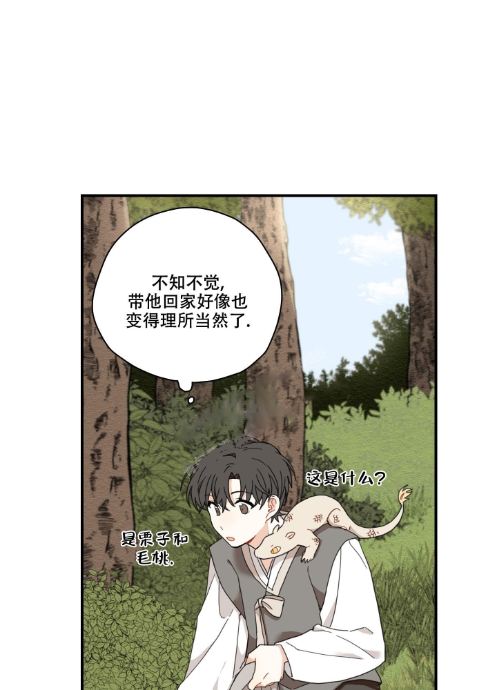 铺满金钟花的路去哪看漫画,第10话1图