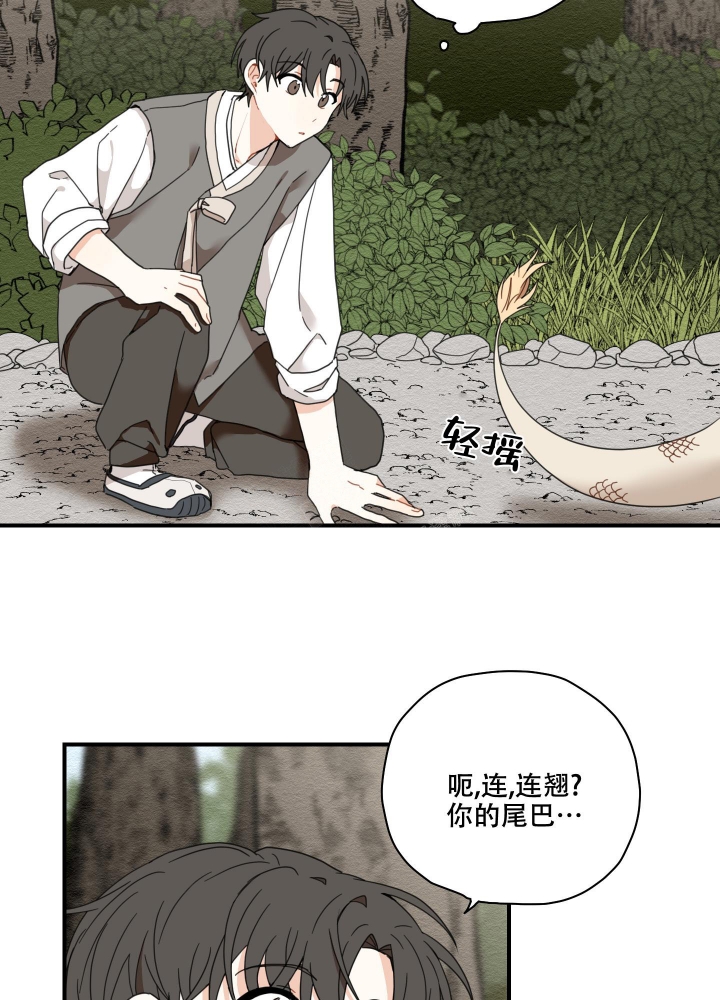 铺满金钟花的路合集解说漫画,第10话3图