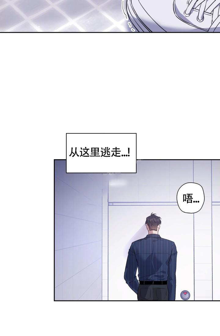 诱饵漫画,第4话5图