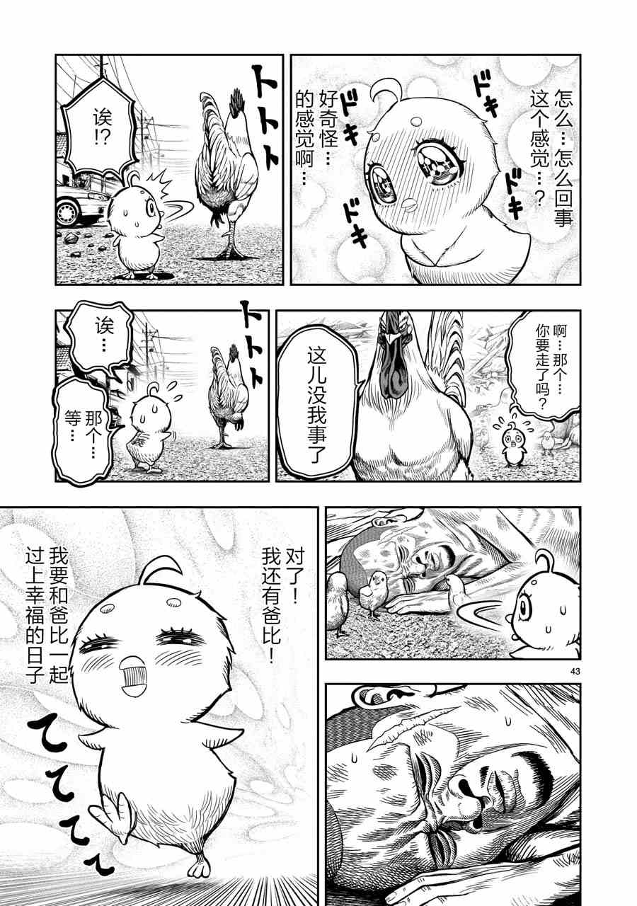 社会我鸡哥，人狠话不多漫画,第5话四鸟别离3图