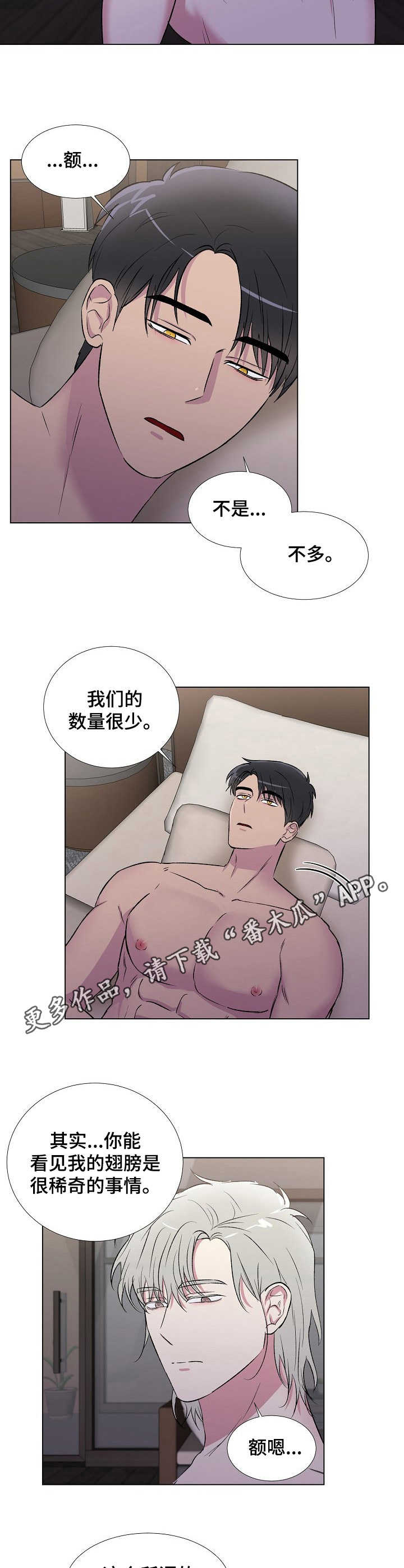 爱的魔力转圈圈小说大全免费漫画,第10章：好奇2图