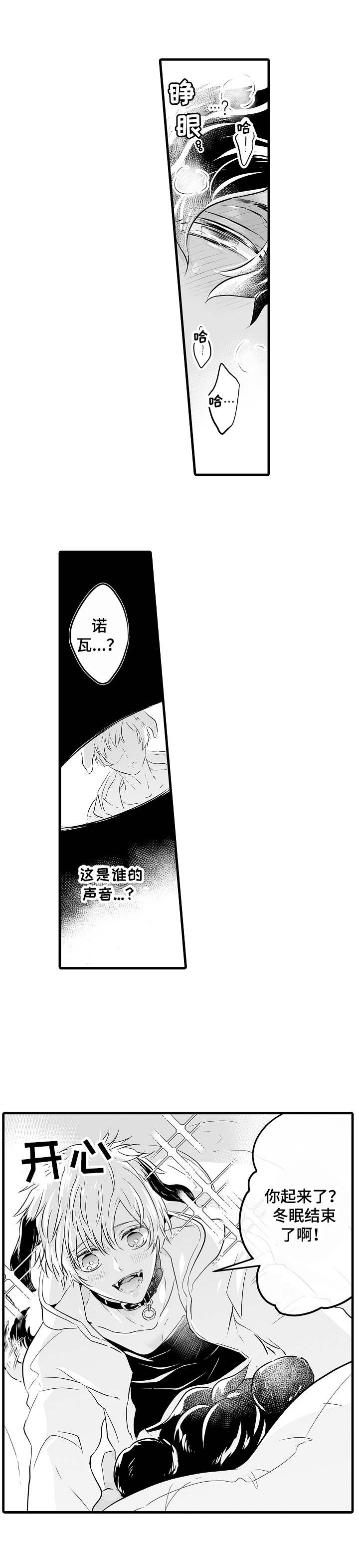 森林中的熊先生冬眠中动漫未增减漫画,第2话1图