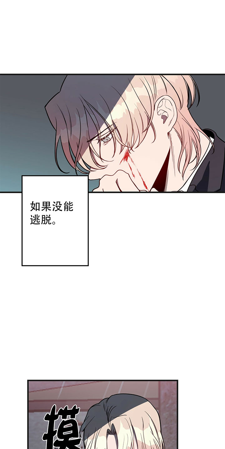 纽约危情约海姆被抓第几章漫画,第11话4图