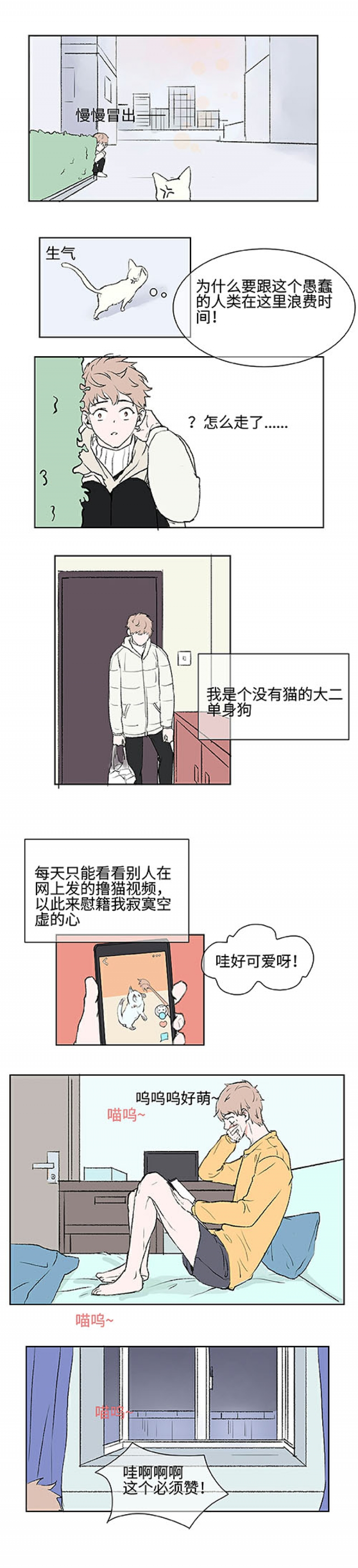 猫少爷的贴身铲屎官漫画,第1话3图