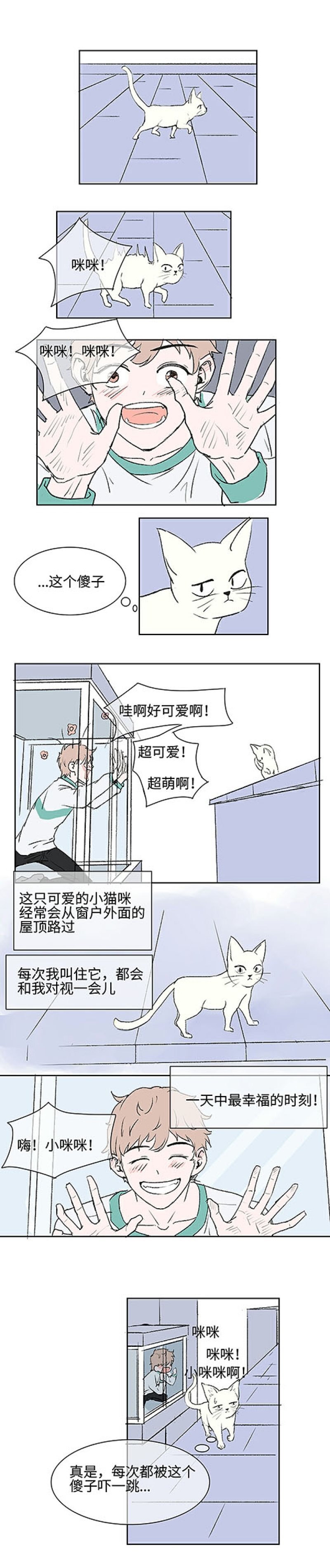 猫少爷的贴身铲屎官漫画,第1话1图