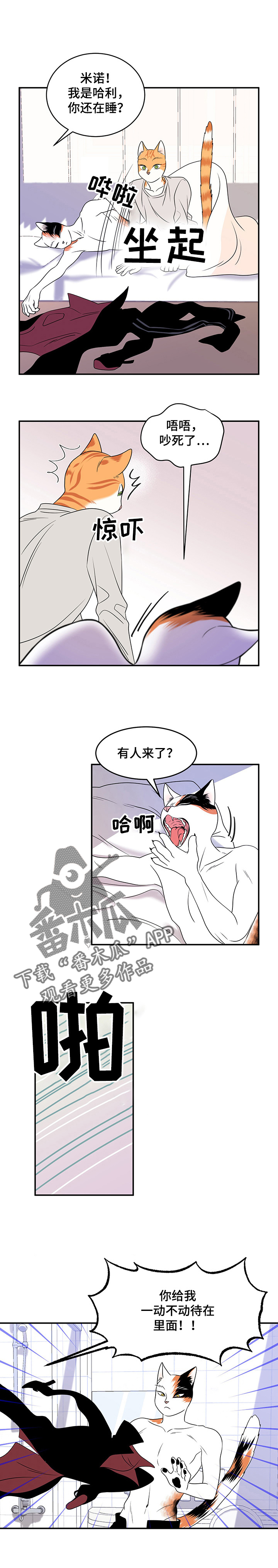 灵猫欧米伽漫画画涯漫画,第4章：讨厌我4图