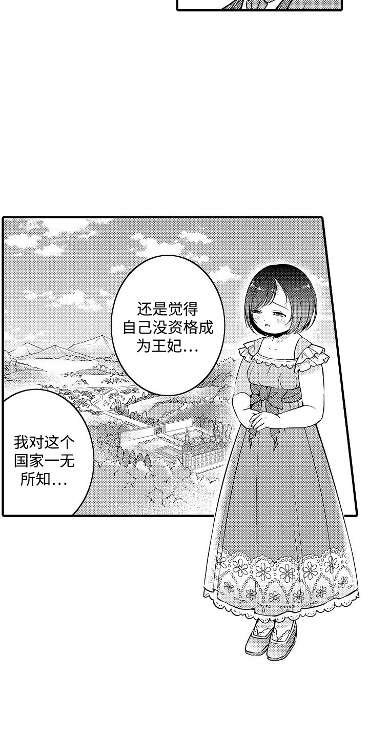 肉肉王妃漫画,第7话1图