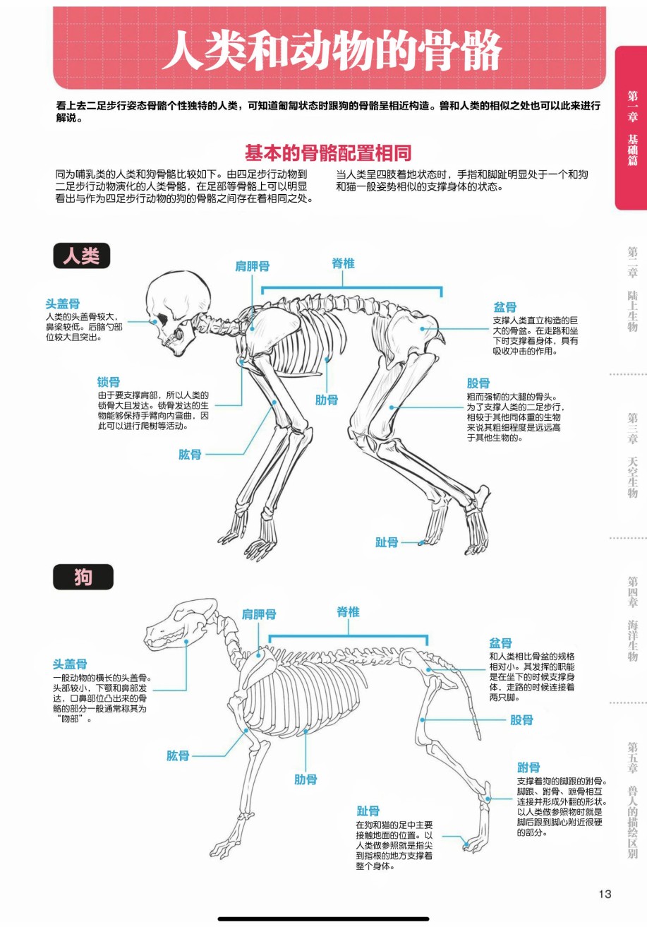 兽人的描绘方法 -从真实系兽人到抽象系兽人漫画,第1话基础篇4图