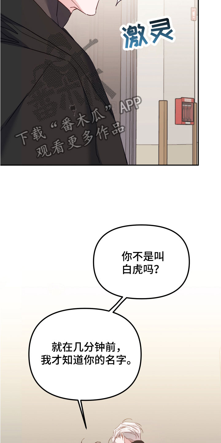 虎的声音漫画作者漫画,第5话1图