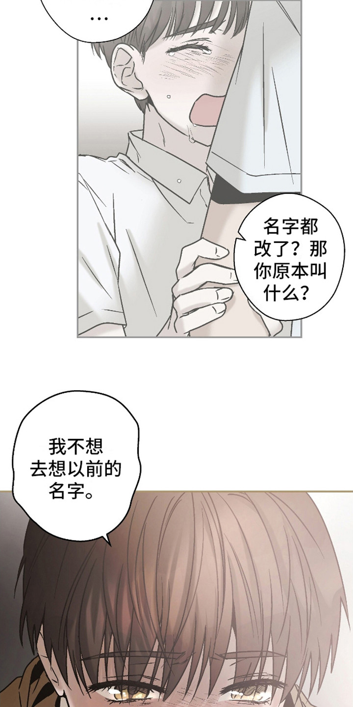 治愈的歌声漫画,第9话4图