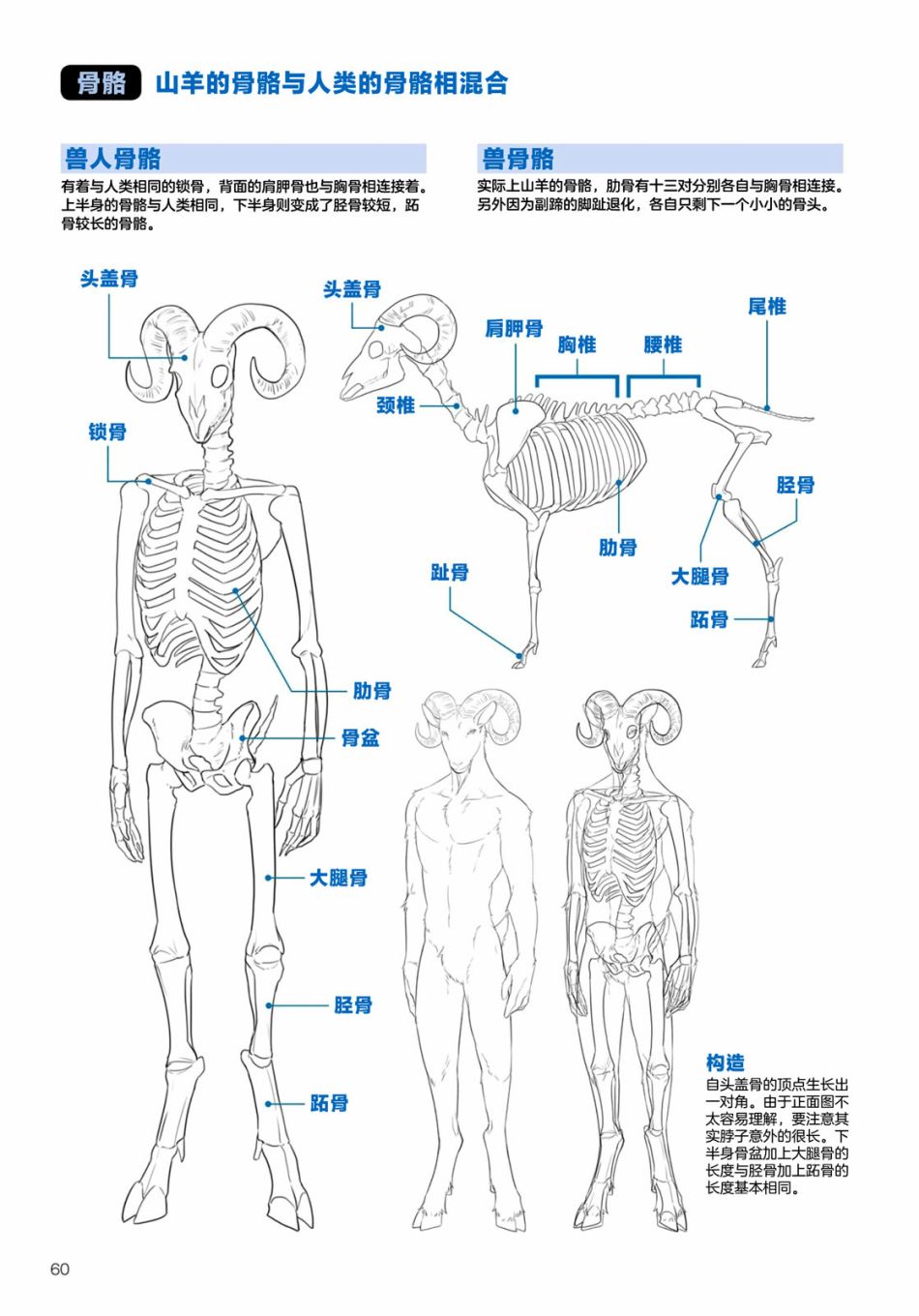 兽人的描绘方法 -从真实系兽人到抽象系兽人漫画,第2.3话陆上生物有蹄类兽人的描绘方法3图