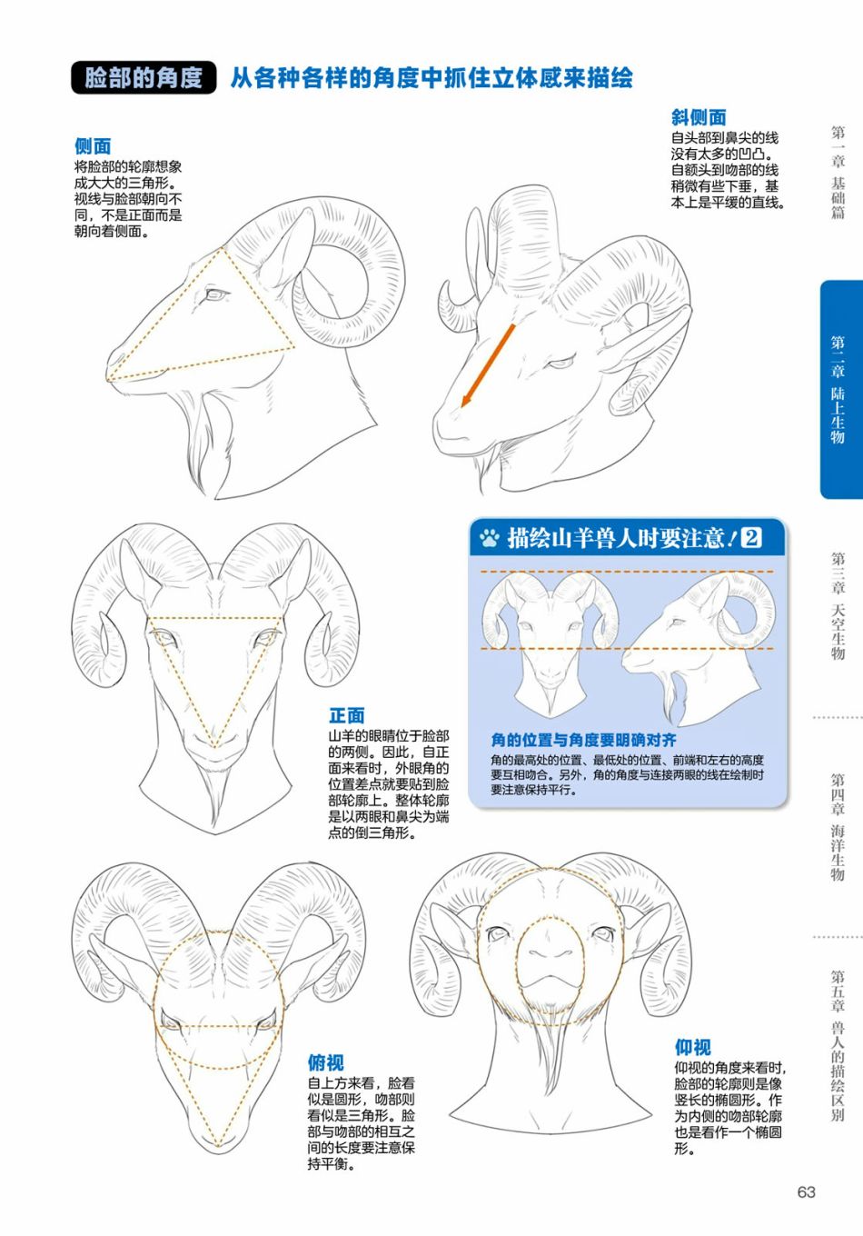 兽人的描绘方法 -从真实系兽人到抽象系兽人漫画,第2.3话陆上生物有蹄类兽人的描绘方法1图