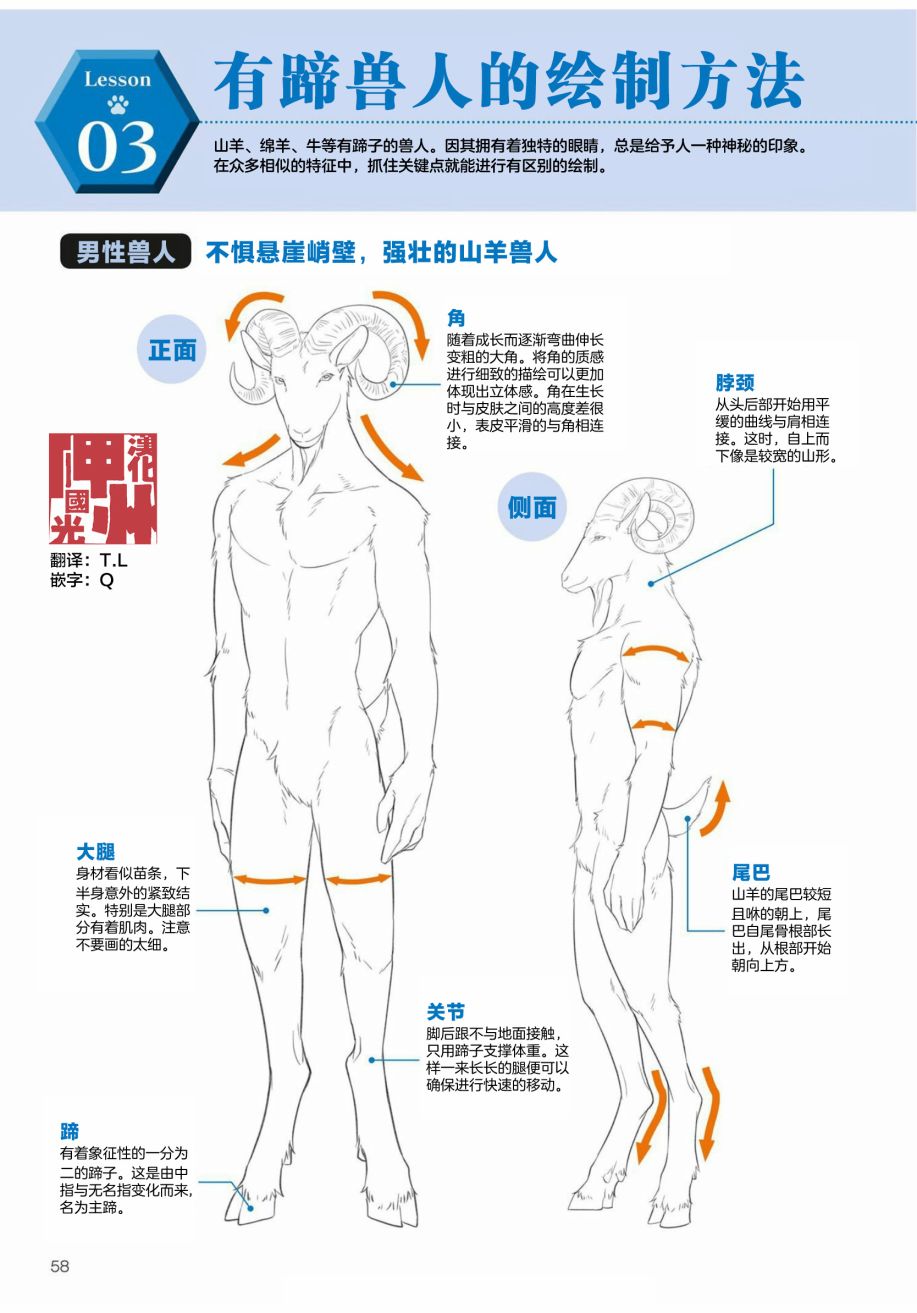 第2.3话陆上生物有蹄类兽人的描绘方法0