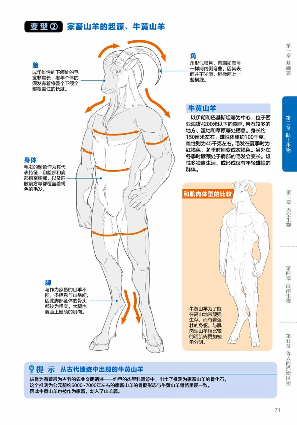 第2.3话陆上生物有蹄类兽人的描绘方法3