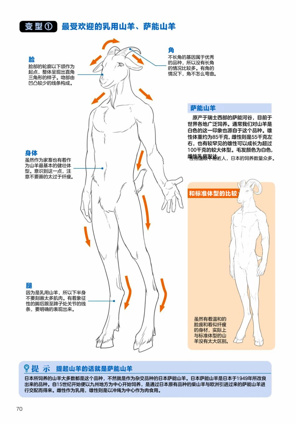 第2.3话陆上生物有蹄类兽人的描绘方法2