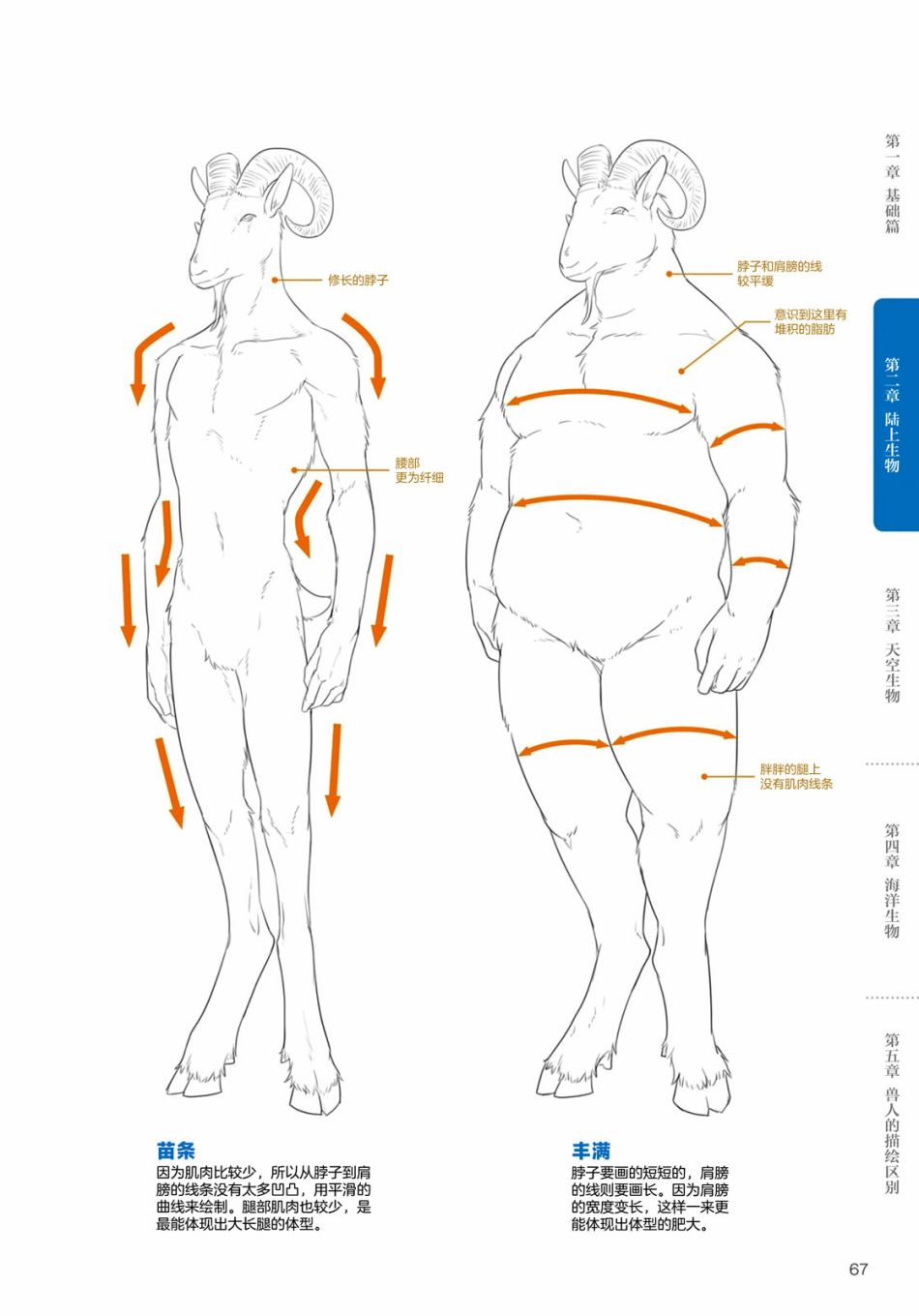 兽人的描绘方法 -从真实系兽人到抽象系兽人漫画,第2.3话陆上生物有蹄类兽人的描绘方法5图