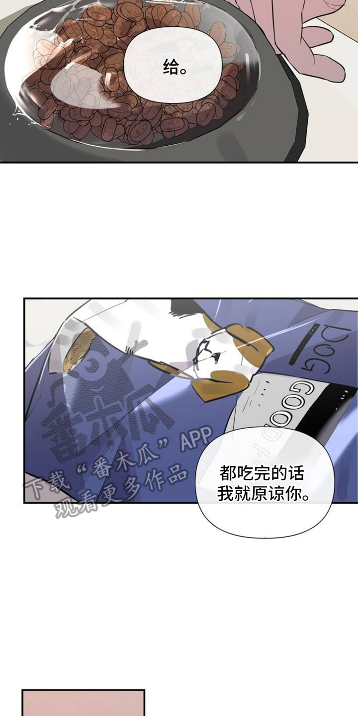 狗与酒漫画,第3话3图