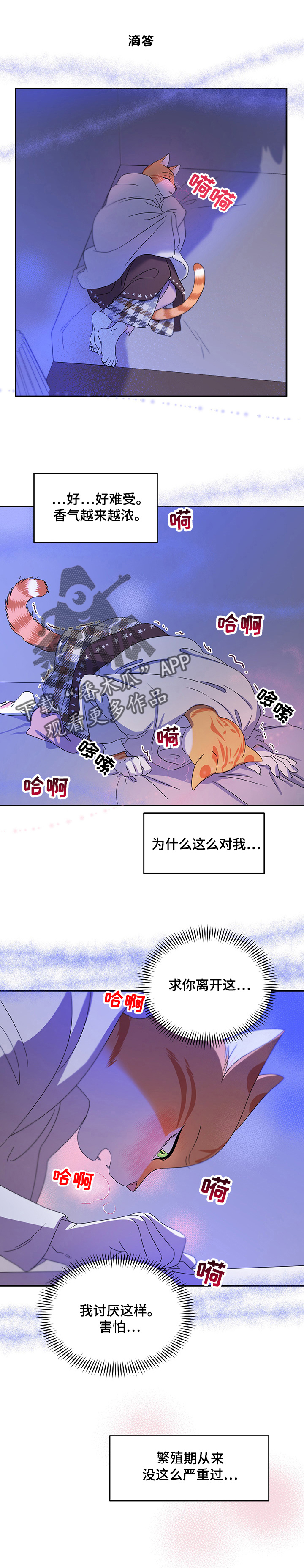 灵猫欧米伽漫画画涯在线观看漫画,第7章：又来4图