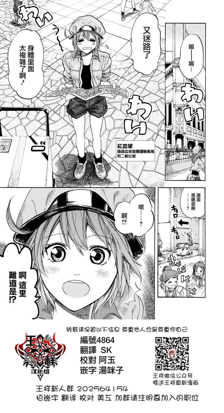 工作细胞全集漫画,第7话有核红细胞和骨髓细胞1图