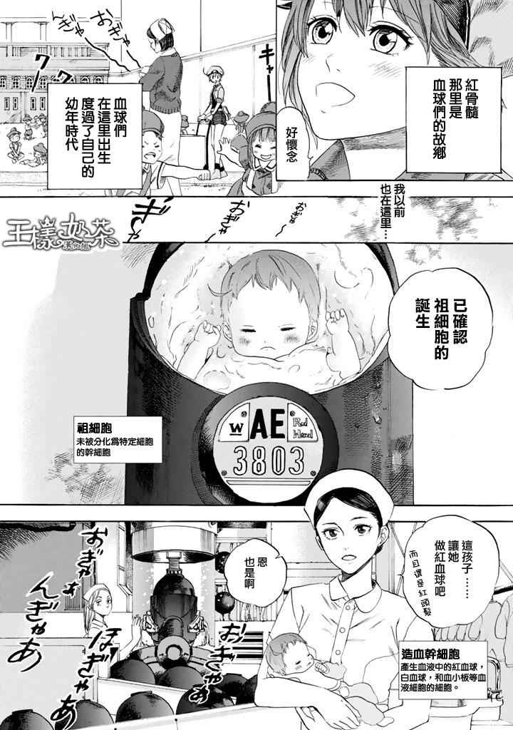 工作细胞全集漫画,第7话有核红细胞和骨髓细胞3图