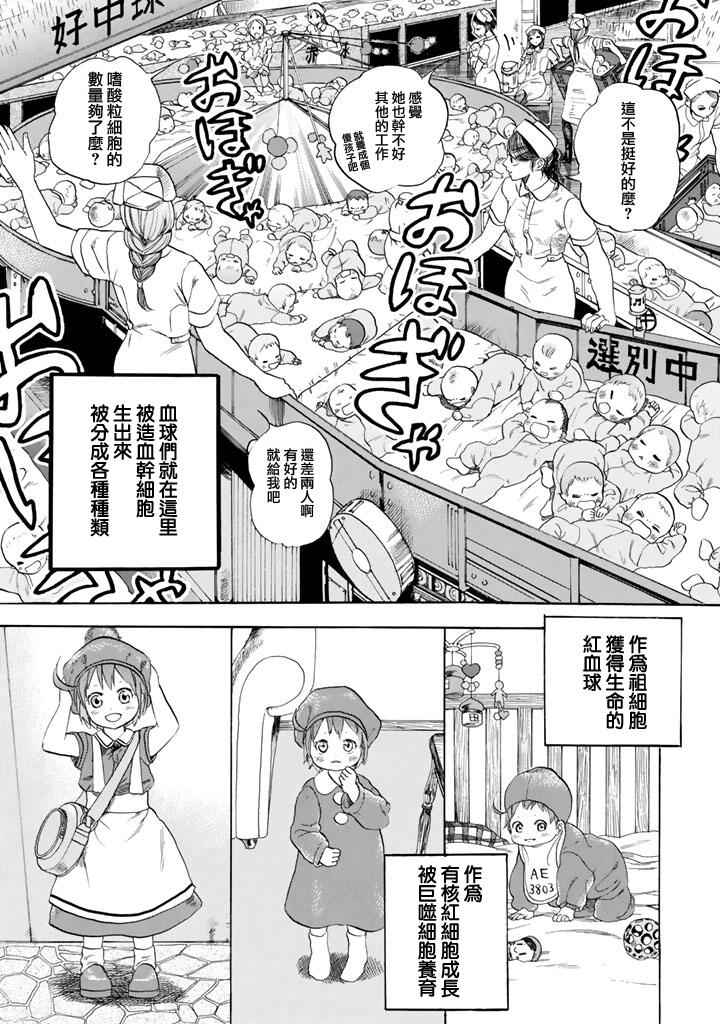 工作细胞全集漫画,第7话有核红细胞和骨髓细胞4图