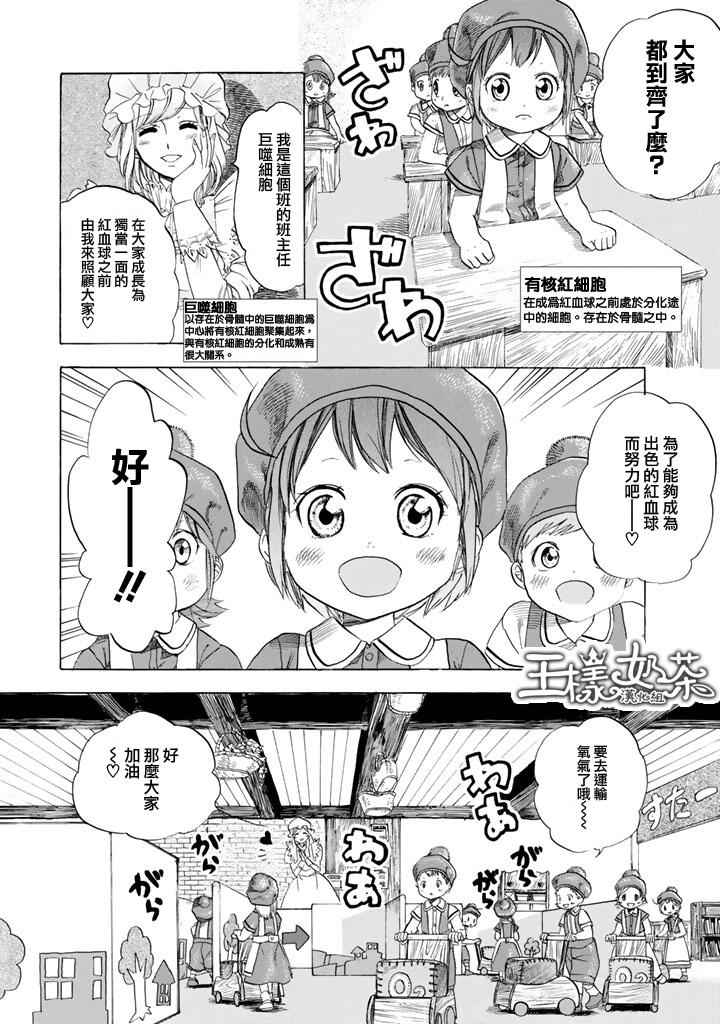 工作细胞全集漫画,第7话有核红细胞和骨髓细胞5图