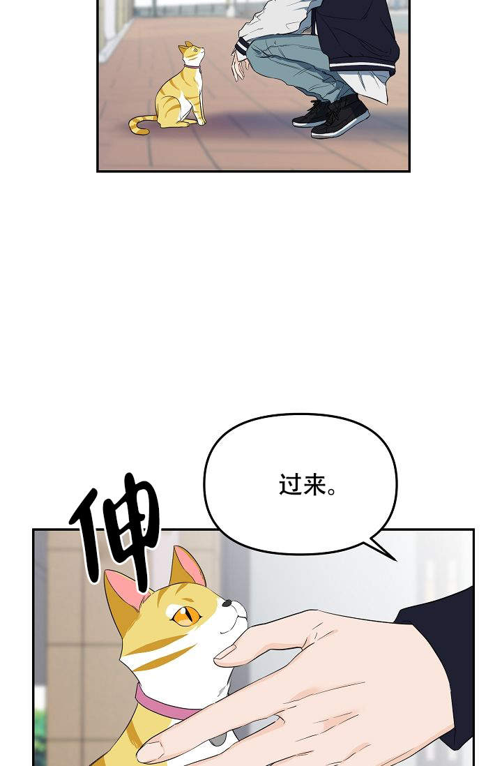 老虎花是什么药材漫画,第1话5图