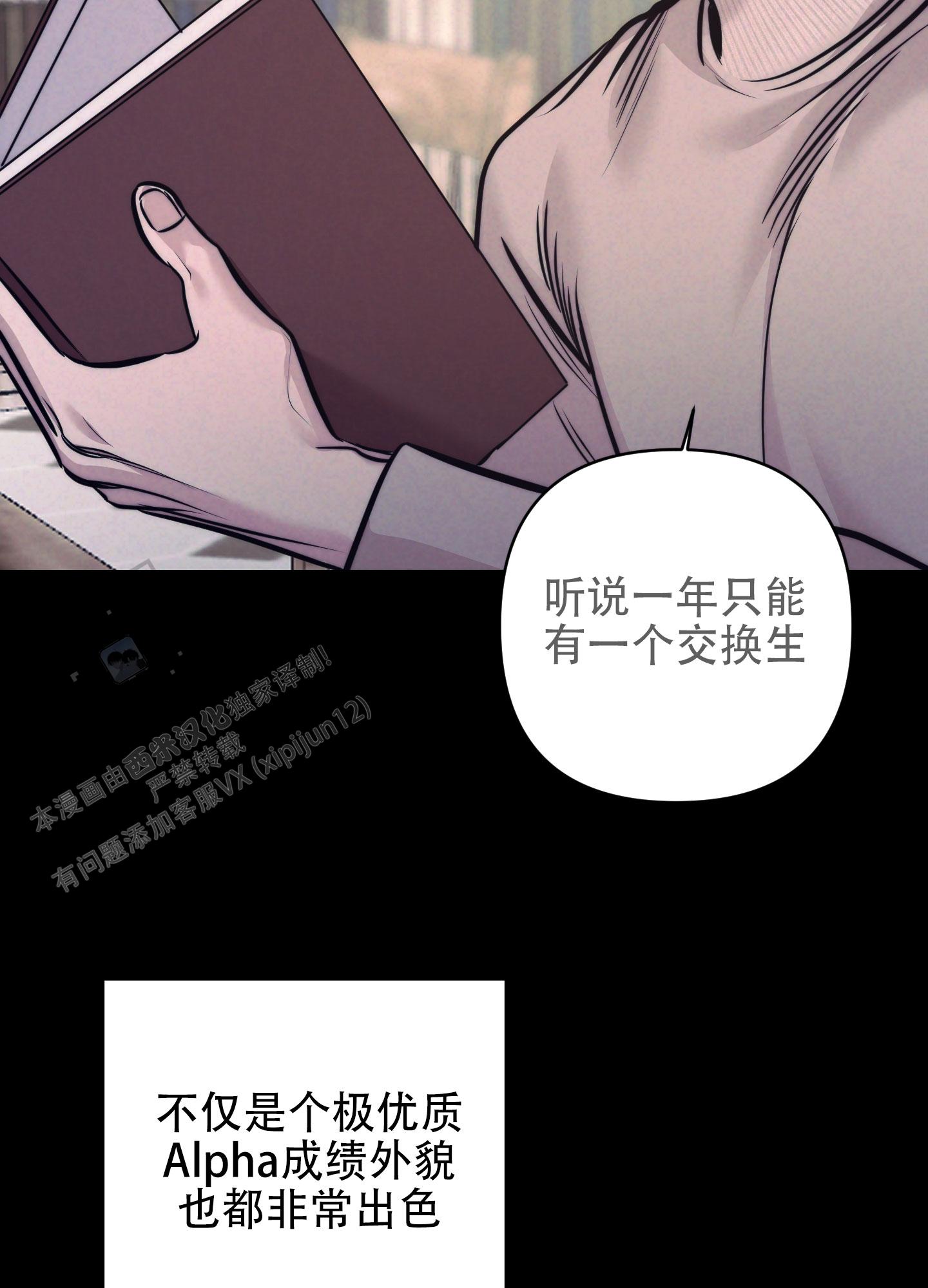 虚假烙印结局漫画,第9话5图