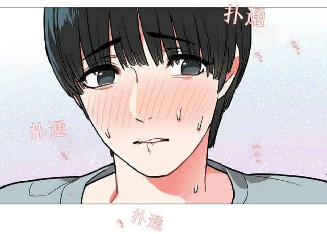 我家的小猫咪漫画,第2话5图