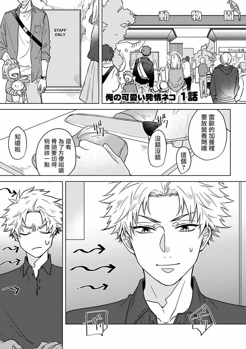 猫头鹰的相思病漫画,第4话1图