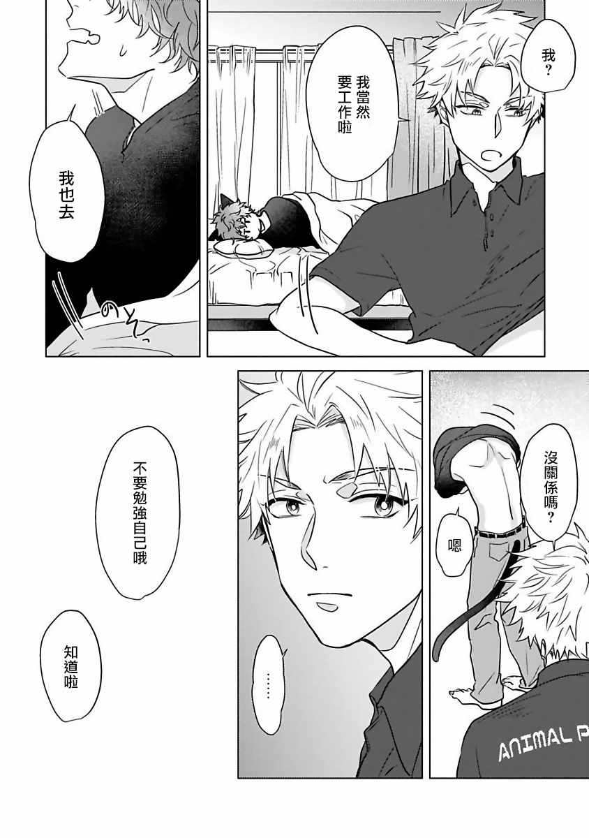 猫头鹰的相思病漫画,第4话3图