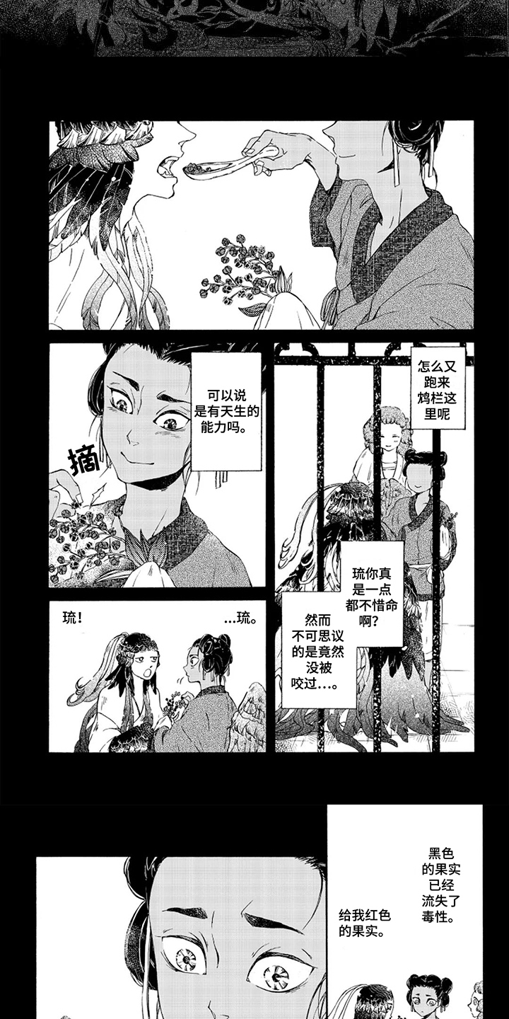 圣洁羽翼必杀漫画,第3话1图