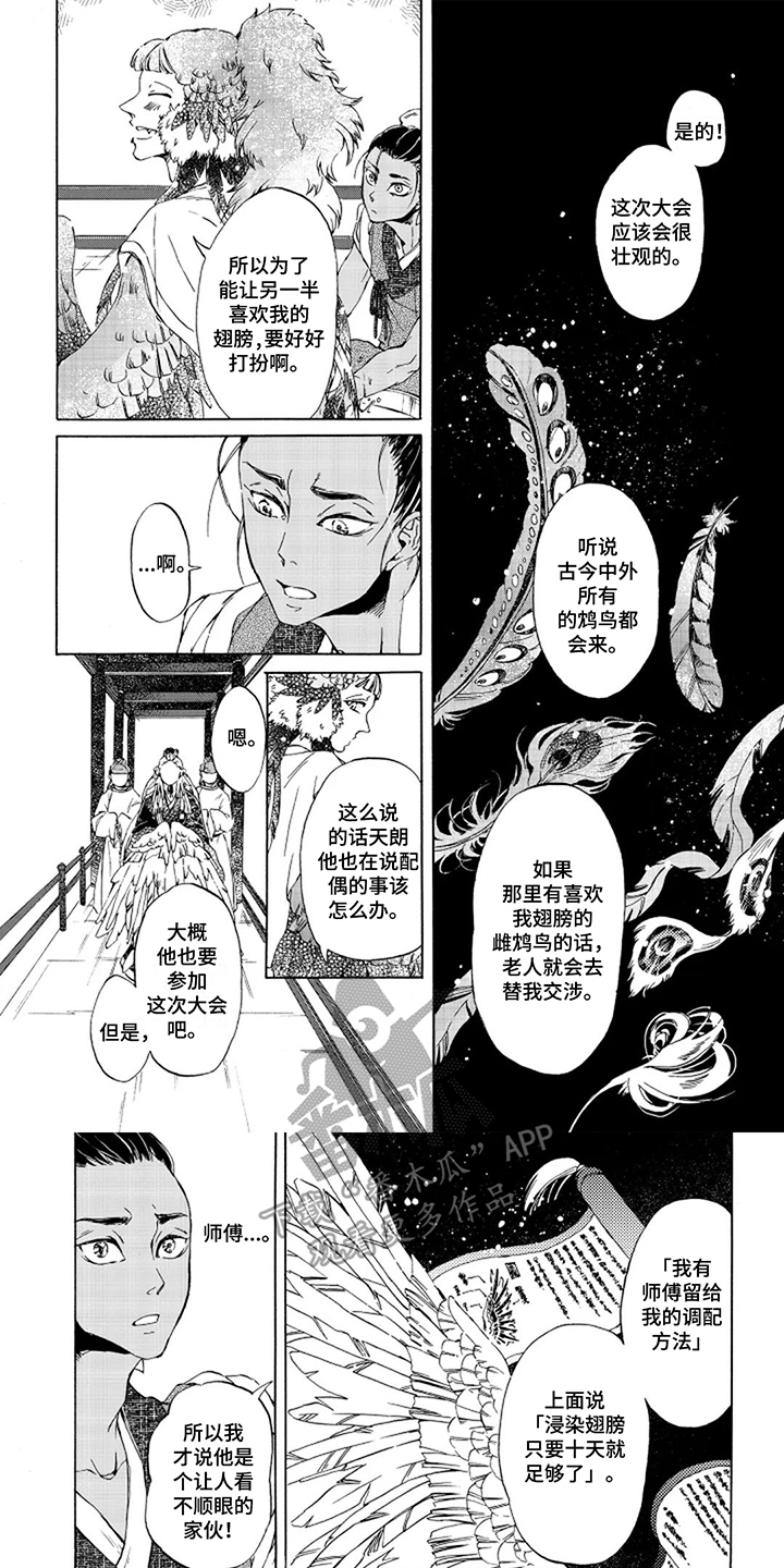 圣洁羽翼漫画,第5话1图