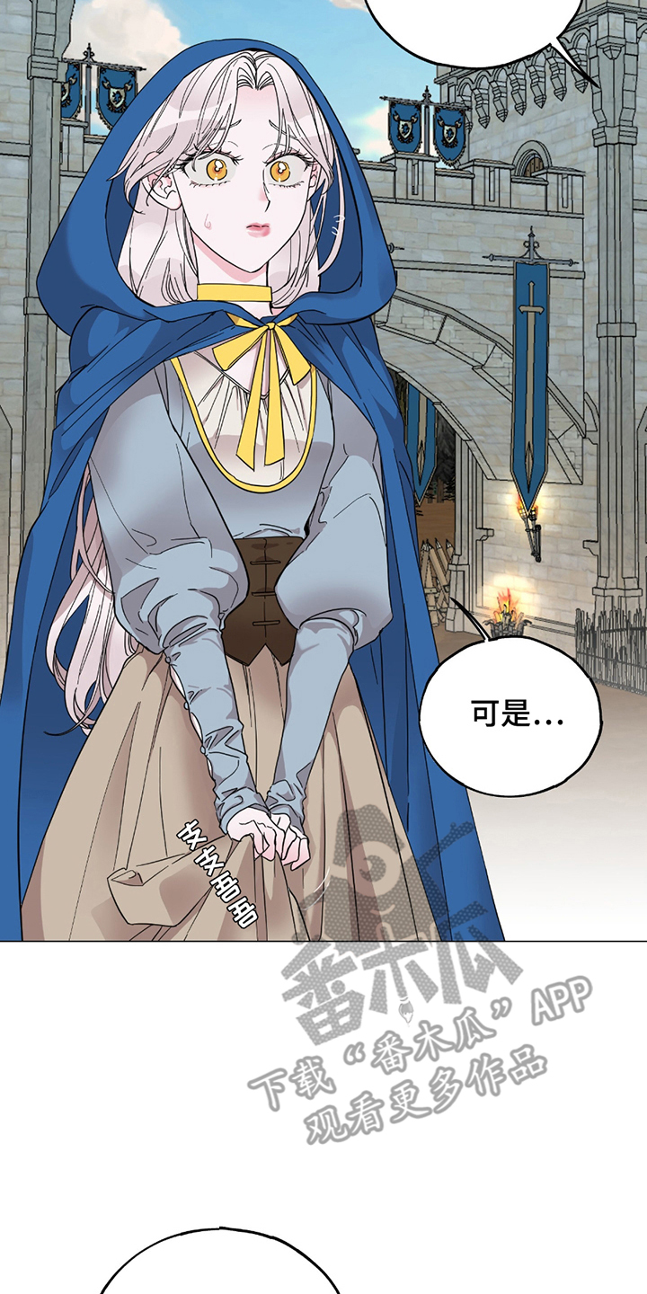 守护女王的骑士漫画,第2话5图