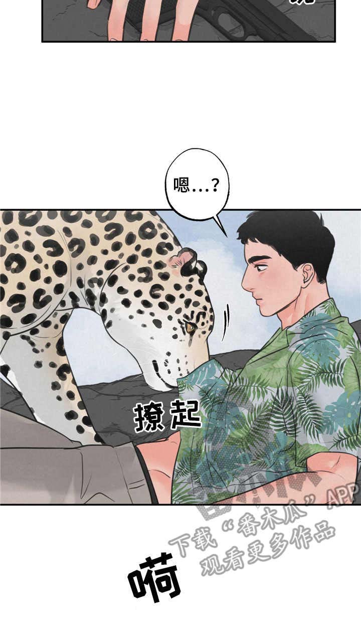 野性之夜纪录片免费观看漫画,第9章：磨蹭3图