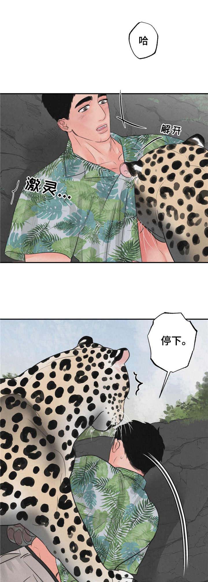 野性之夜纪录片免费观看漫画,第9章：磨蹭5图