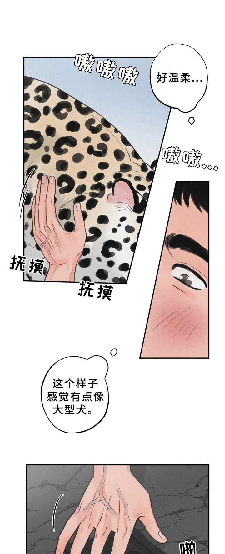 野性之夜纪录片免费观看漫画,第9章：磨蹭2图