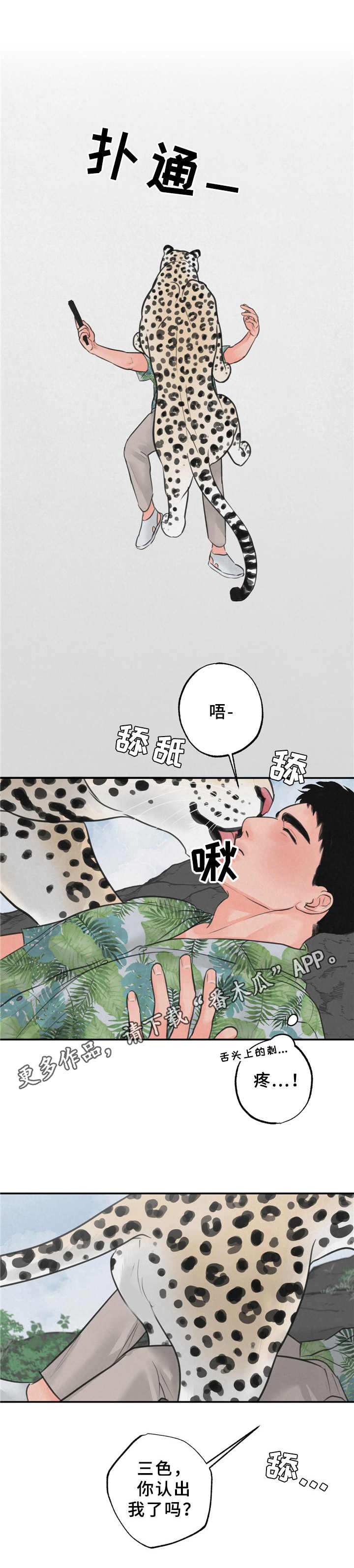 野性之夜纪录片免费观看漫画,第9章：磨蹭1图