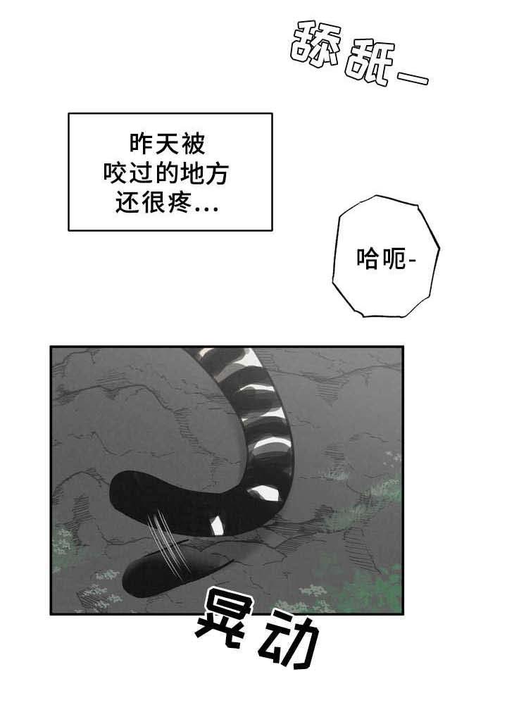 野性之夜纪录片免费观看漫画,第9章：磨蹭4图