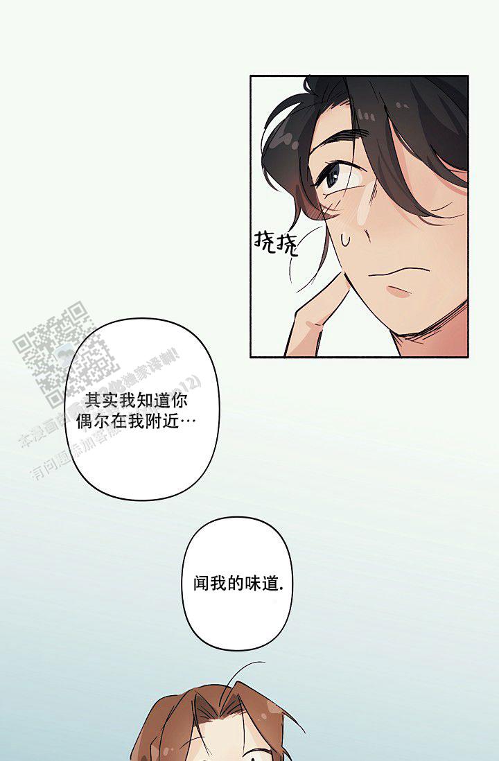 独居女性晚上注意什么漫画,第5话1图