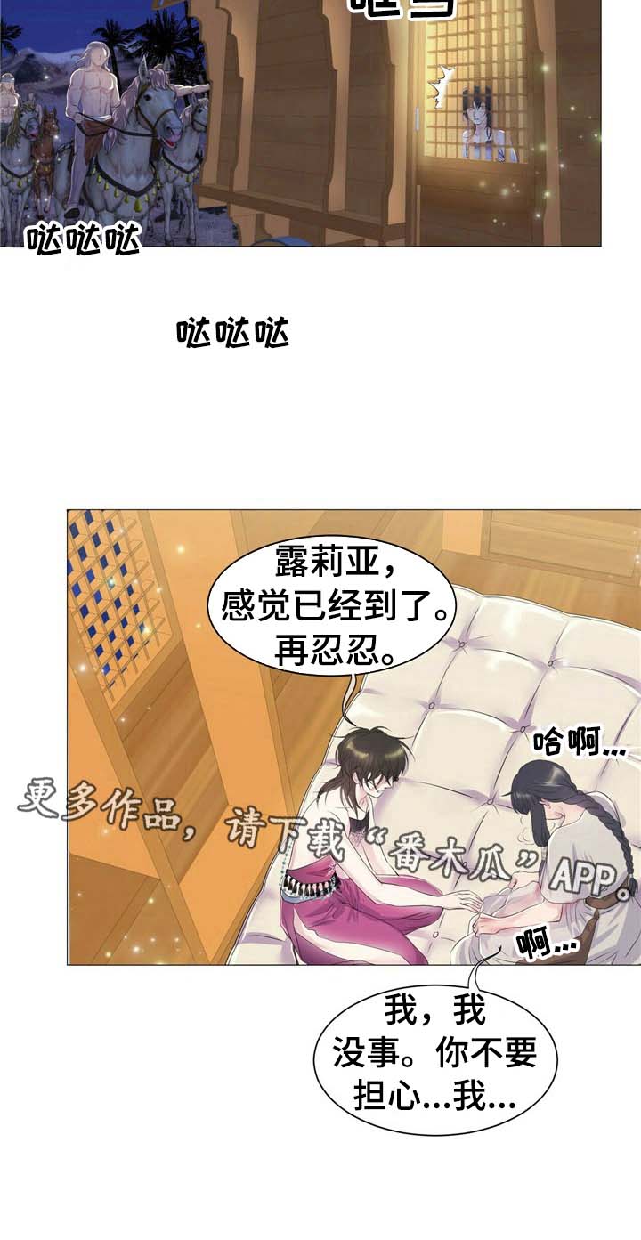 狼王子漫画,第5章：到达1图