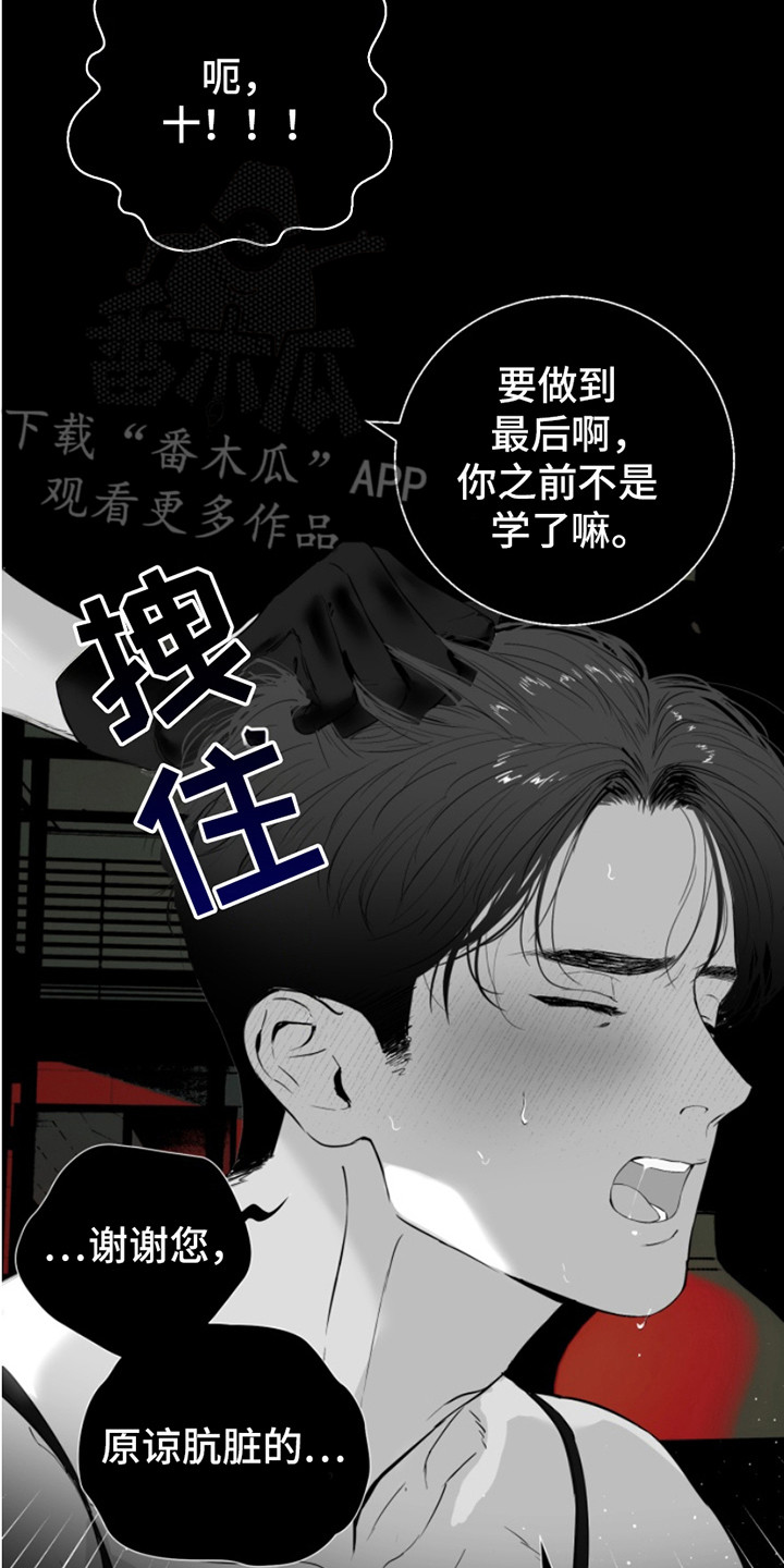 反向cauchy漫画,第9话4图